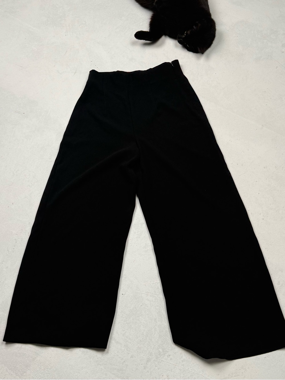 Zara Black Wide-Leg High-Waist Pants